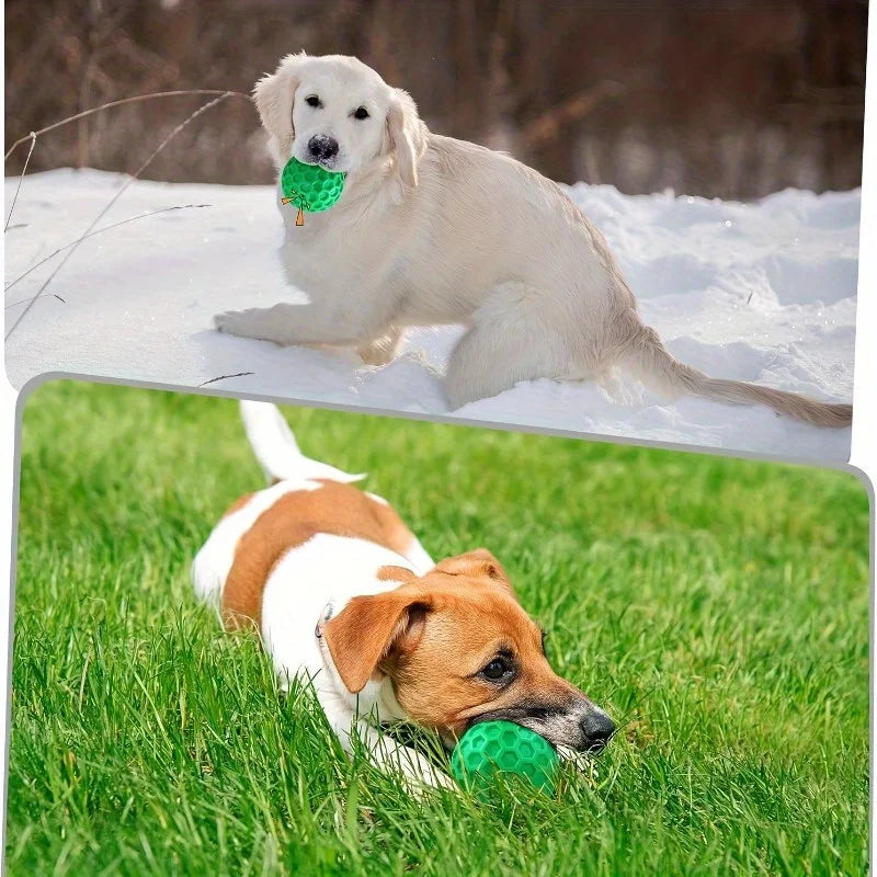 Beef Flavor Hexagonal Rubber Chew Toy for Aggressive Chewers