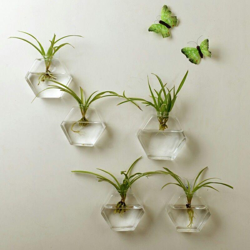 Geometric Glass Hanging Fish Tank
