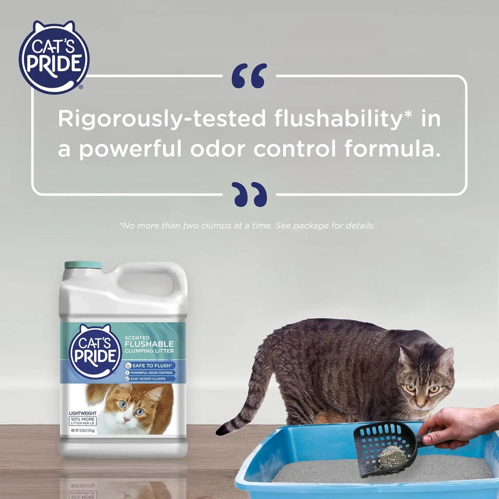 Flushable Cat Litter