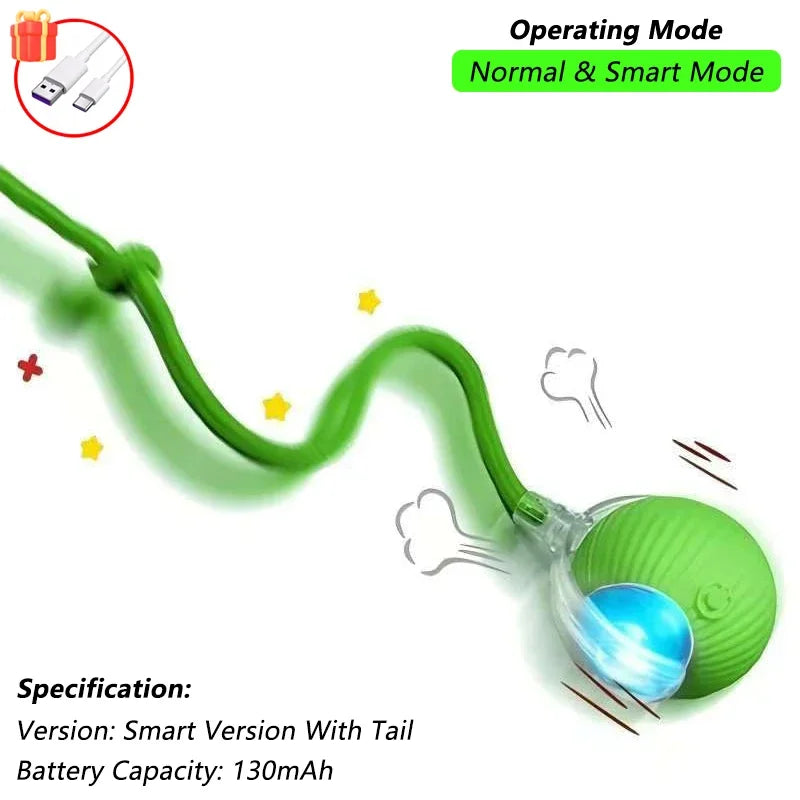 Dog and Cat Automatic smart Ball Toy.