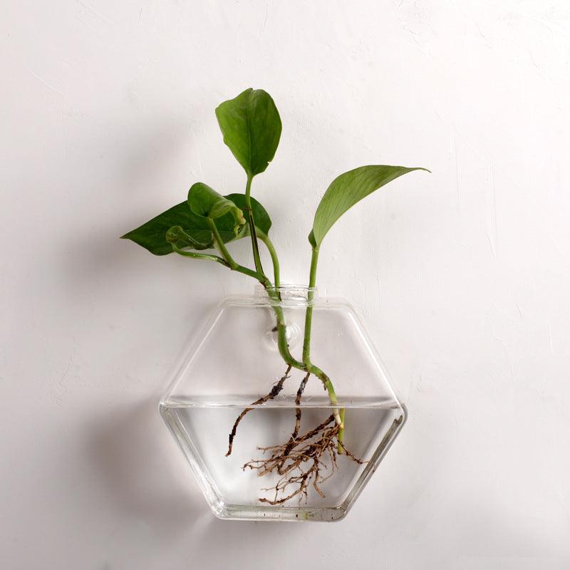 Geometric Glass Hanging Fish Tank