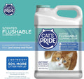 Flushable Cat Litter