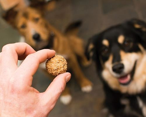 Beer Paws Original Peanut Butter Flavor Craft Beer Dog Biscuits