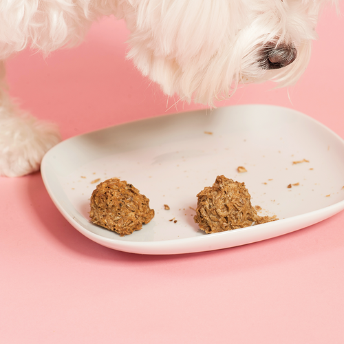 Beer Paws Original Peanut Butter Flavor Craft Beer Dog Biscuits
