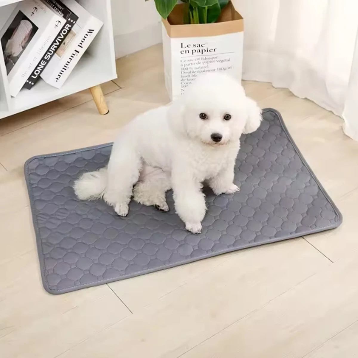 Dog Pee Pad