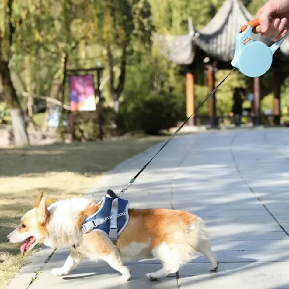 3M Dog Leash for Dogs