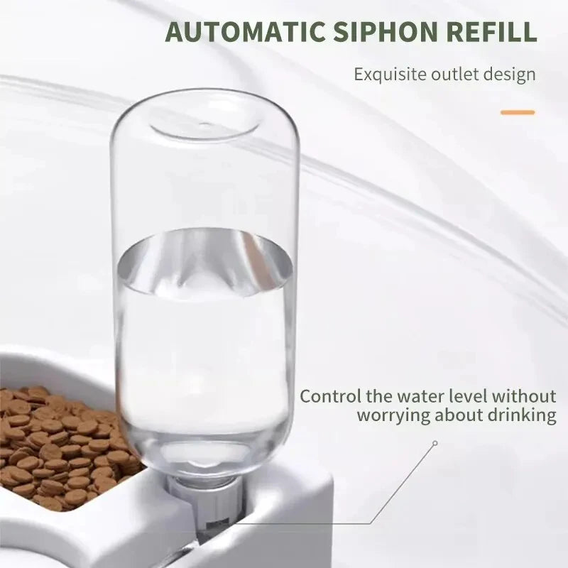 Automatic Drinking Pet Dual Bowls